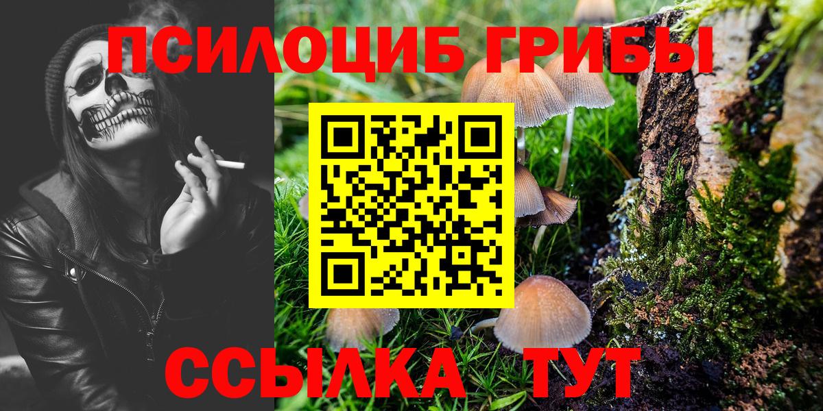 Псилоцибиновые грибы Cubensis  Вход с VPN  Псилоцибиновые грибы Cubensis  Долгопрудный 