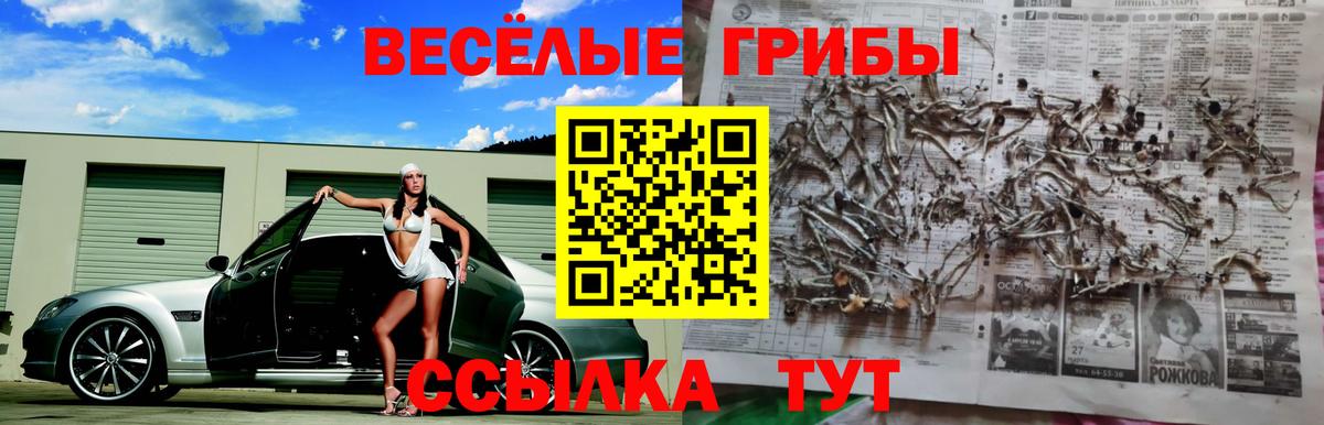Галлюциногенные грибы ЛСД Долгопрудный