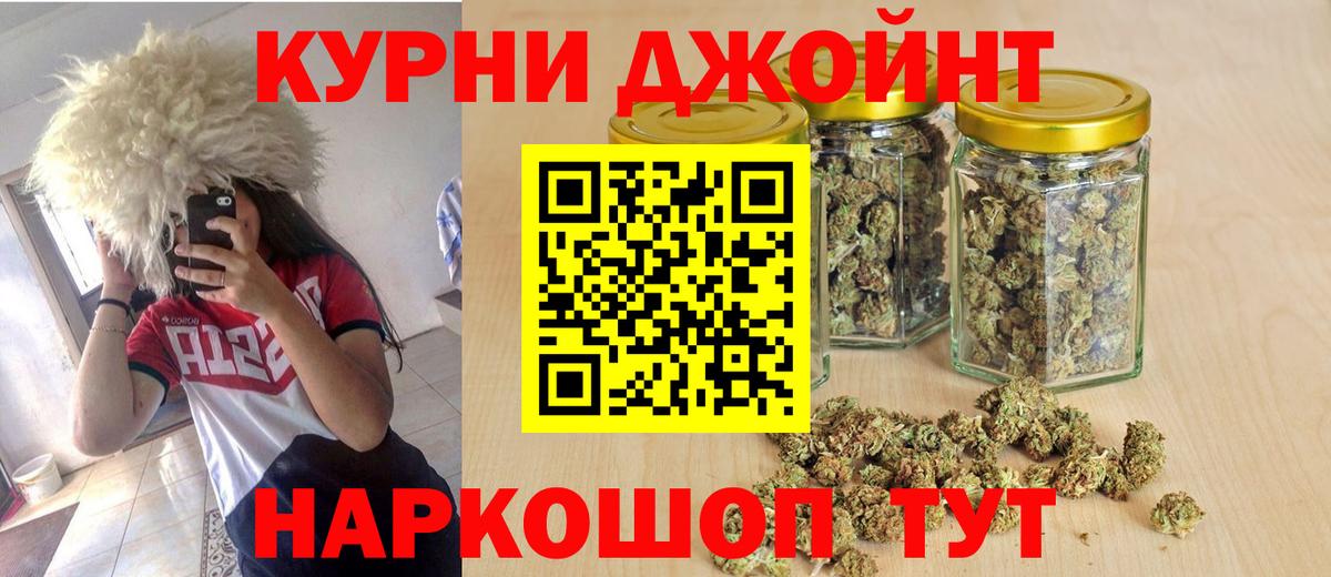 Бошки Шишки планчик Долгопрудный